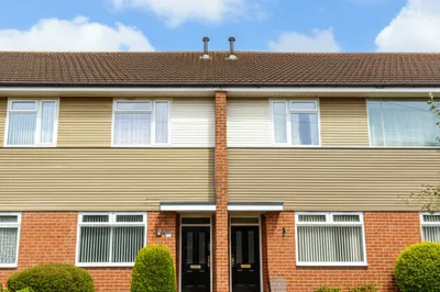 Illustration semis - Image 1