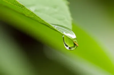 Illustration drops - Image 1