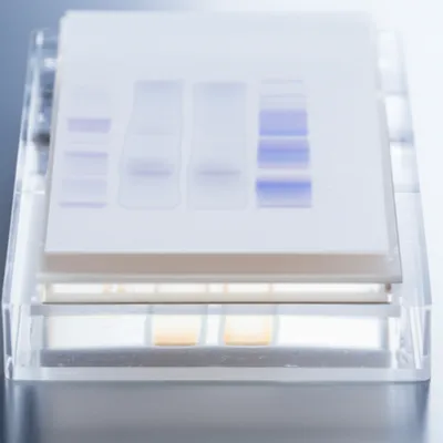 Illustration blot - Image 1