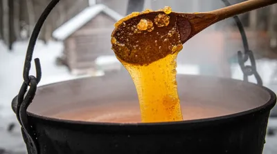 Illustration sugar - Image 1