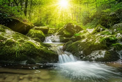 Illustration welling - Image 1