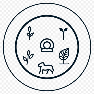 Illustration yard - Image 1