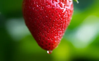 Illustration sipping