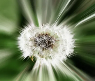 Illustration vibratile - Image 2