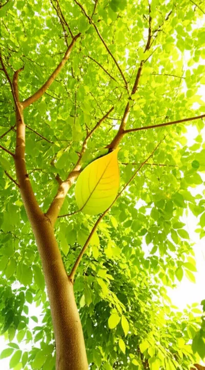 Illustration tolerances - Image 1