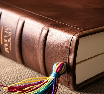 Illustration bookmark