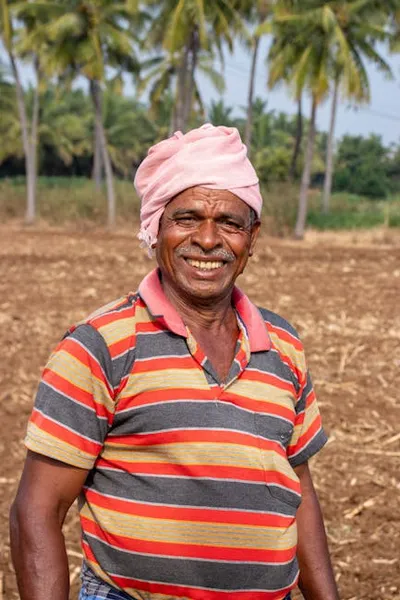 Illustration ploughed - Image 2