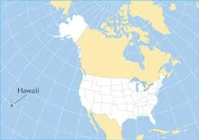 Illustration hi - Image 2