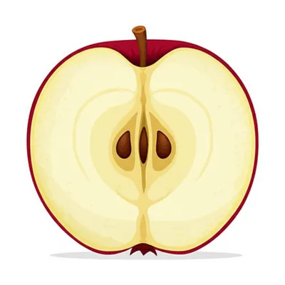 Illustration core - Image 1