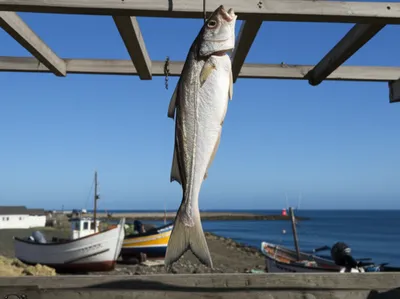 Illustration stockfish - Image 1