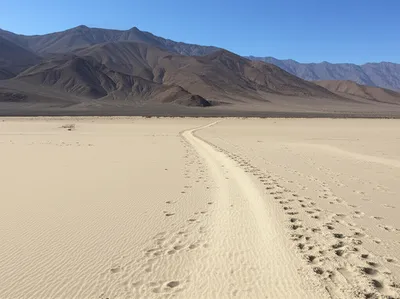 Illustration traced - Image 1