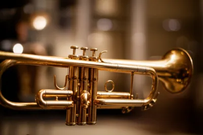 Illustration crook - Image 1