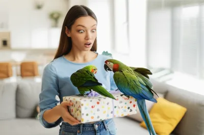 Illustration astonished