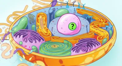 Illustration granule - Image 1