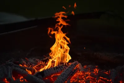 Illustration tongue - Image 1