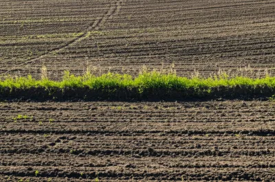 Illustration baulk - Image 1