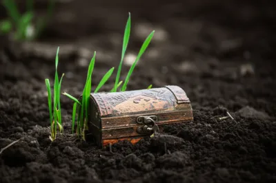 Illustration buried - Image 1