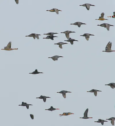 Illustration unconventional - Image 1