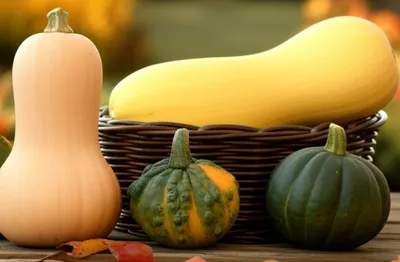 Illustration pumpkins - Image 1