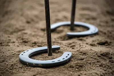 Illustration horseshoes - Image 1