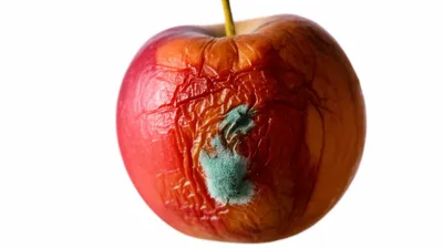 Illustration decaying - Image 1