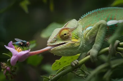 Illustration insinuating - Image 1