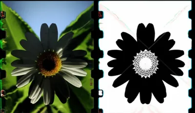 Illustration negatives - Image 1