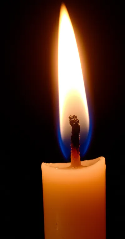 Illustration taper - Image 1