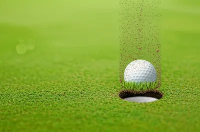 Illustration holed - Image 1