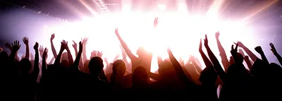 Hình ảnh minh họa raving - Ảnh 1