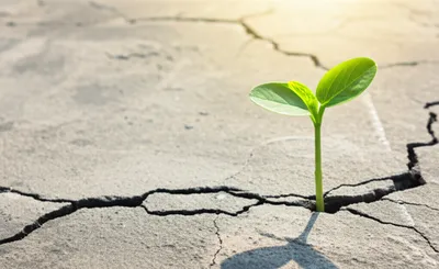 Illustration gumption - Image 1