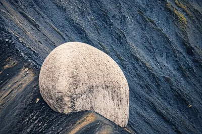 Illustration cupola - Image 1