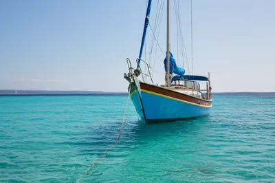 Illustration moors - Image 1