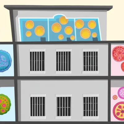 Illustration fours - Image 1