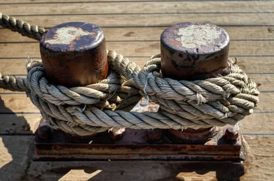 Illustration bitter - Image 1