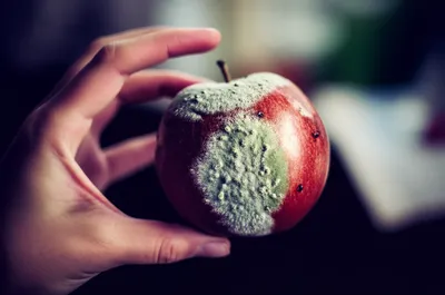 Illustration condemn - Image 1