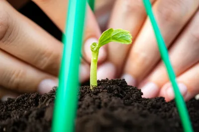 Illustration trained - Image 1