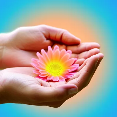 Illustration harmonize