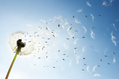 Illustration aspirations - Image 1