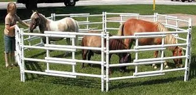 Illustration corral - Image 2