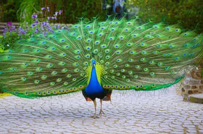 Illustration struts - Image 1