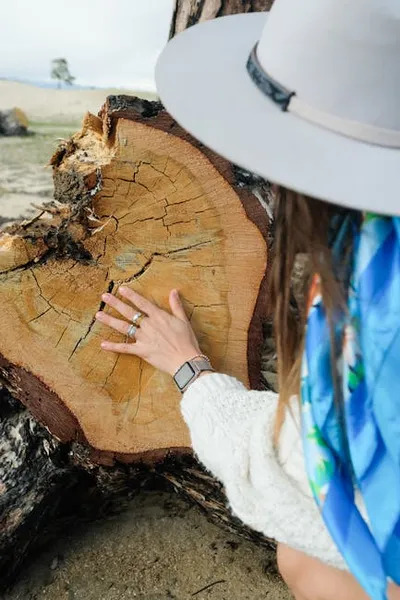 Illustration heartwood - Image 2