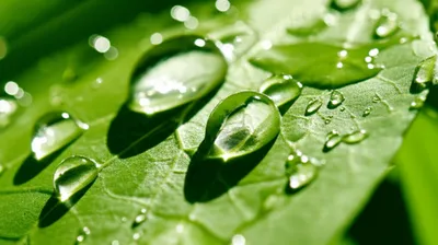 Illustration wetness - Image 1