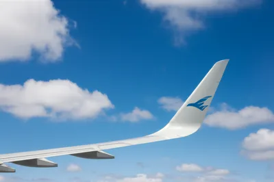 Illustration tails - Image 1