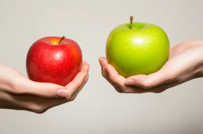 Hình ảnh minh họa switched