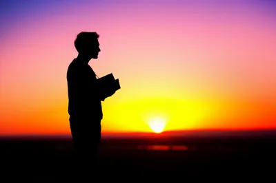 Illustration afterword