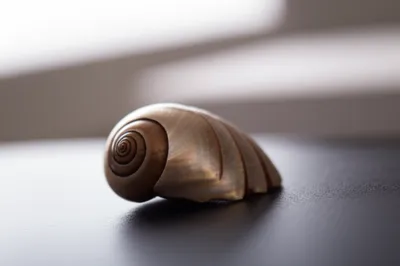 Illustration temple - Image 1