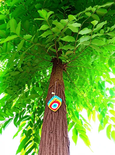 Illustration affixes - Image 1