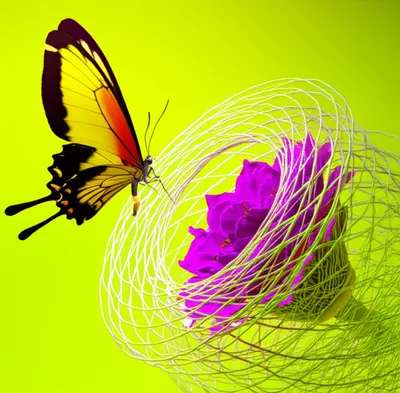 Illustration entraps - Image 2