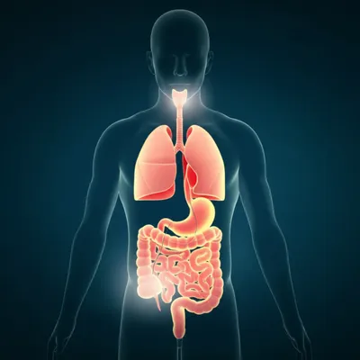 Illustration scopes - Image 1